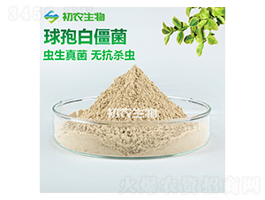 �׽������x������-���r(n��ng)����