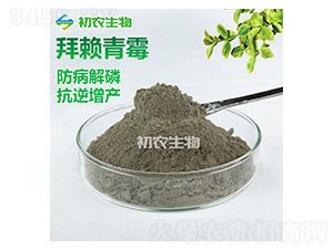 ��ه��ù����ù�-���r(n��ng)����