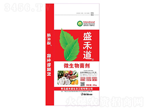 ΢�������-ʢ�̵�