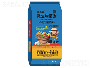 10�|΢�������-ʢ�̵�