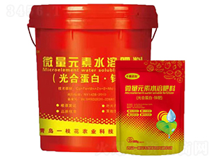 ��ϵ��ס��\��-һ֦��