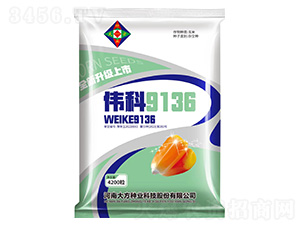 ���׷N��-����9136--�Є�(chu��ng)�N�I(y��)