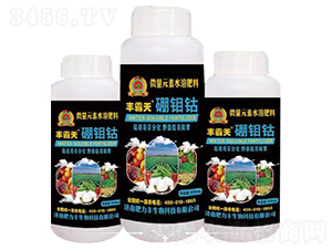 ���f�-�S����-�����S