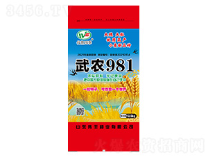 С���N��-���r(n��ng)981-���S�N�I(y��)