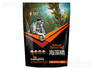 ���徫-ؐ����-����v�x