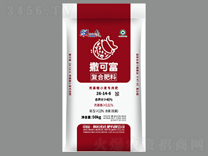 ������С�����÷�26-14-6