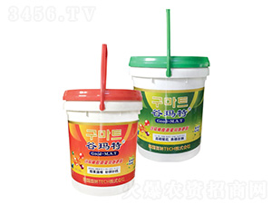 �tͰ�GͰ-�Ȭ����H��