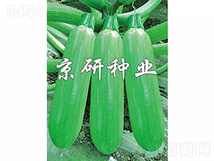 ����9̖-�����J�N��-���зN�I(y��)