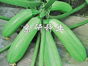 ���22̖-�����J�N��-���зN�I(y��)