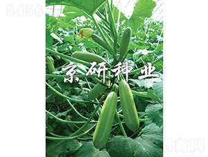 ����36-�����J�N��-���зN�I(y��)