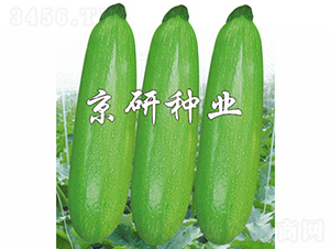 ����37-�����J�N��-���зN�I(y��)