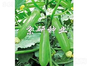 ���336-�����J�N��-���зN�I(y��)