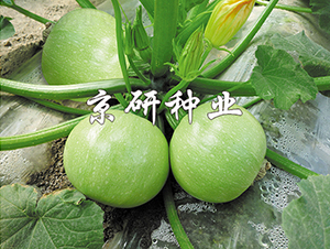 ����2̖-�����J�N��-���зN�I(y��)