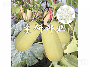 �������S2̖-�����J�N��-���зN�I(y��)