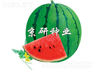 ����3̖-���ϷN��-���зN�I(y��)