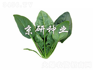 ����700-���˷N��-���зN�I(y��)