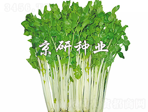 �חU1̖-�۲˷N��-���зN�I(y��)