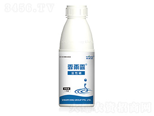 ������-����¶-Сħ��