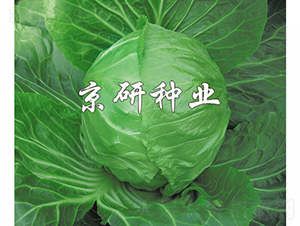 ����7̖-���{�N��-���зN�I(y��)