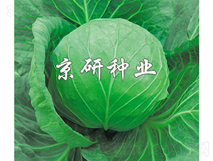 ����8̖-���{�N��-���зN�I(y��)