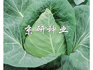 ţ��1̖-���{�N��-���зN�I(y��)