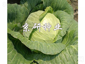 ����161-���{�N��-���зN�I(y��)