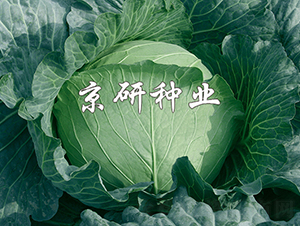 ���5̖-���{�N��-���зN�I(y��)