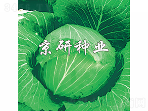 ���2̖-���{�N��-���зN�I(y��)