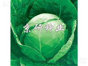 ���3̖-���{�N��-���зN�I(y��)