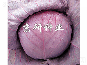 �ϸ�4̖-���{�N��-���зN�I(y��)