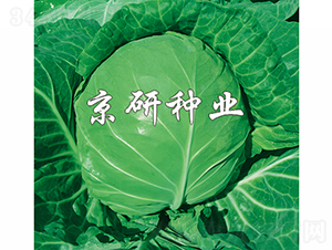 ����2̖-���{�N��-���зN�I(y��)