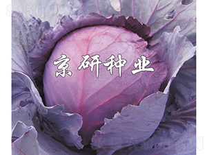 �ϸ�9̖-���{�N��-���зN�I(y��)