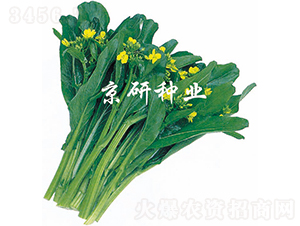 ����1̖-���ķN��-���зN�I(y��)