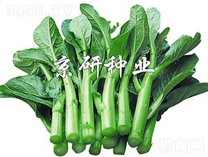 ����80-���ķN��-���зN�I(y��)