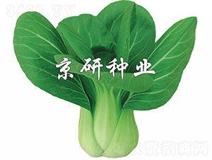 ����1̖-�Ͳ˷N��-���зN�I(y��)