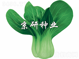 ����3̖-�Ͳ˷N��-���зN�I(y��)