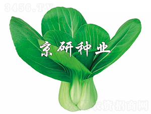 ����1̖-�Ͳ˷N��-���зN�I(y��)