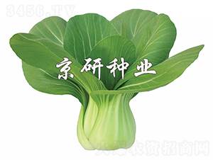 ����2̖-�Ͳ˷N��-���зN�I(y��)