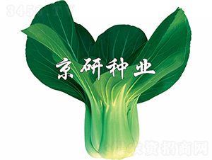 ���G2̖-�Ͳ˷N��-���зN�I(y��)