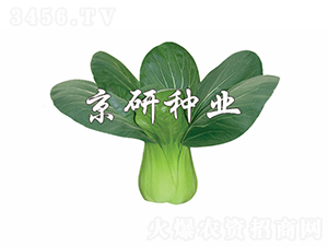 ���G3̖-�Ͳ˷N��-���зN�I(y��)