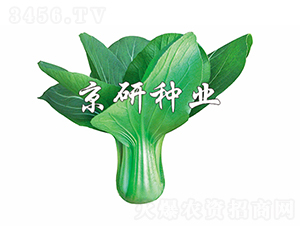 ���G4̖-�Ͳ˷N��-���зN�I(y��)