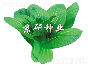 ����1̖-�Ͳ˷N��-���зN�I(y��)