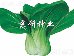 ����-�Ͳ˷N��-���зN�I(y��)