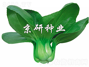 ����5̖-�Ͳ˷N��-���зN�I(y��)