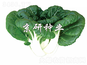 �̰�1̖-�Ͳ˷N��-���зN�I(y��)