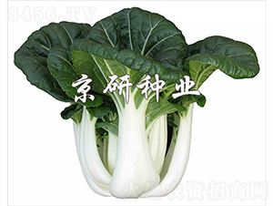 ���̰�3̖-�Ͳ˷N��-���зN�I(y��)