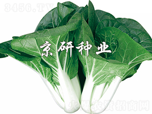 ���к��~-�Ͳ˷N��-���зN�I(y��)