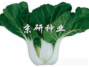 ���к��~2̖-�Ͳ˷N��-���зN�I(y��)