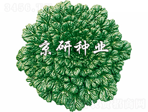 ���G������-�Ͳ˷N��-���зN�I(y��)