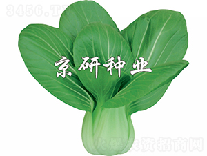 ����2̖-�Ͳ˷N��-���зN�I(y��)